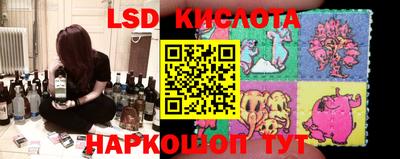 стафф Славянск-на-Кубани