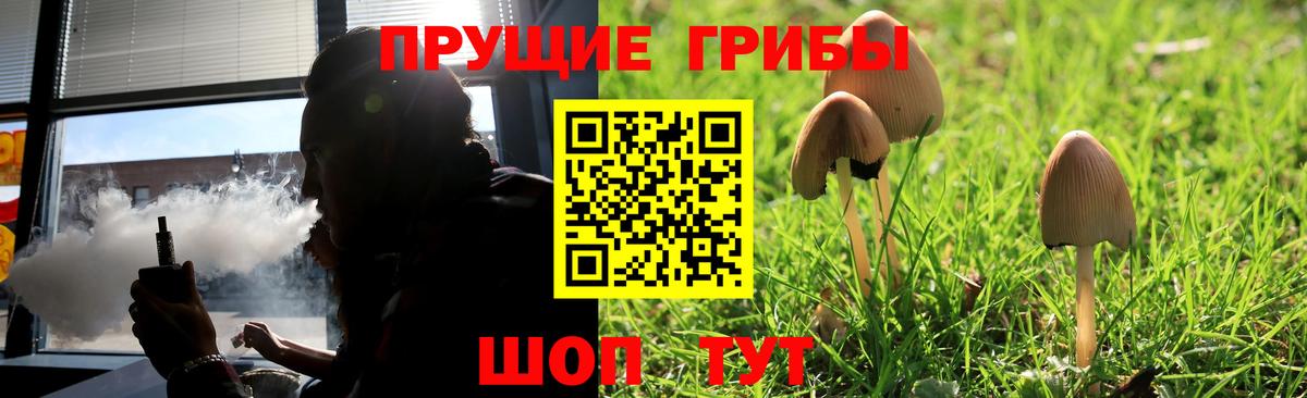Галлюциногенные грибы Psilocybe  Вход с VPN  Галлюциногенные грибы ЛСД  Симферополь 
